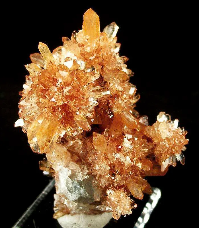 Creedite - image 2