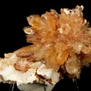Creedite - image 1