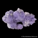 Creedite - image 6
