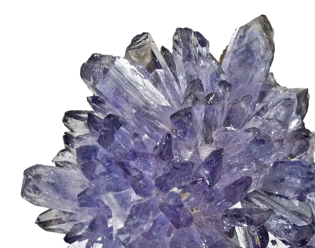 Creedite - image 5