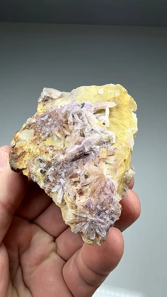 Creedite - image 2