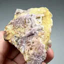 Creedite - image 2
