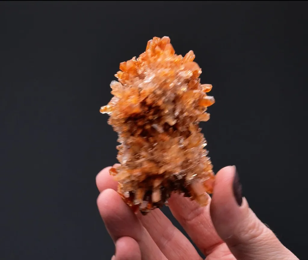 Creedite - image 2