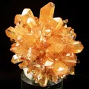 Creedite - image 1