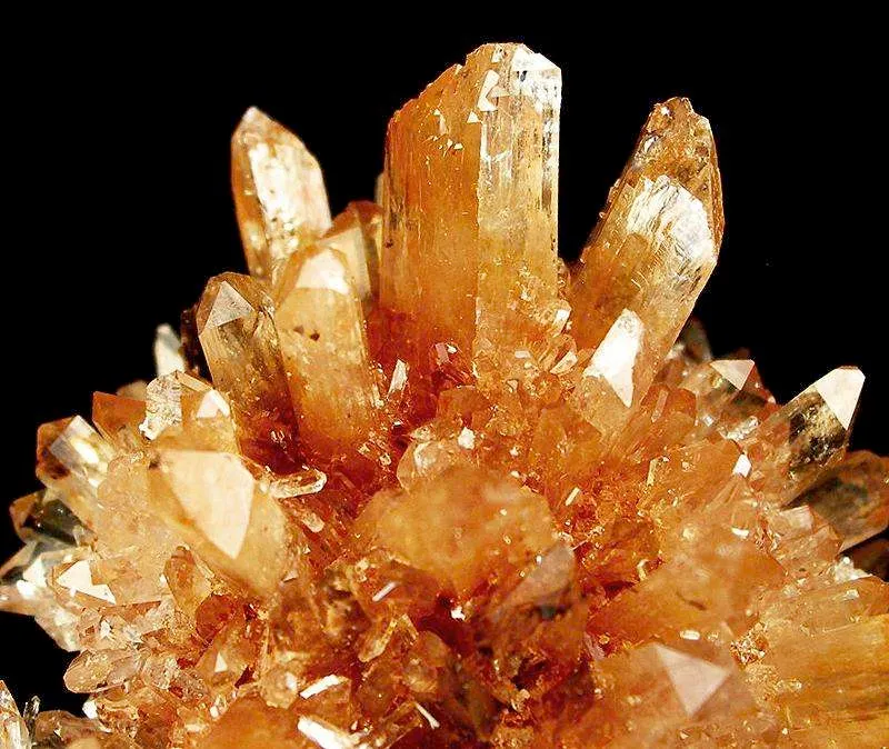 Creedite - image 2