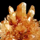 Creedite - image 2