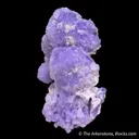Creedite - image 4
