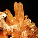 Creedite - image 2