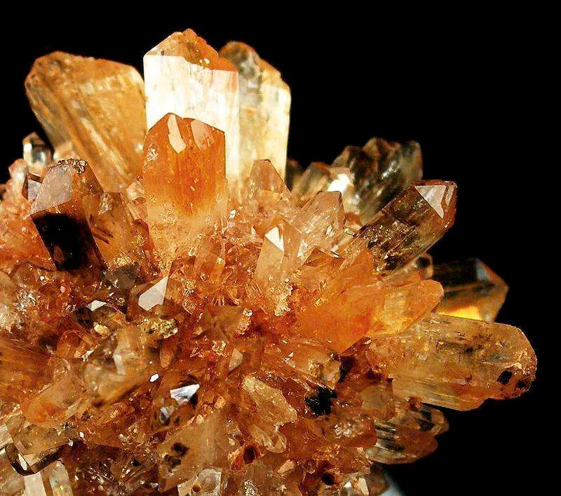 Creedite - image 2