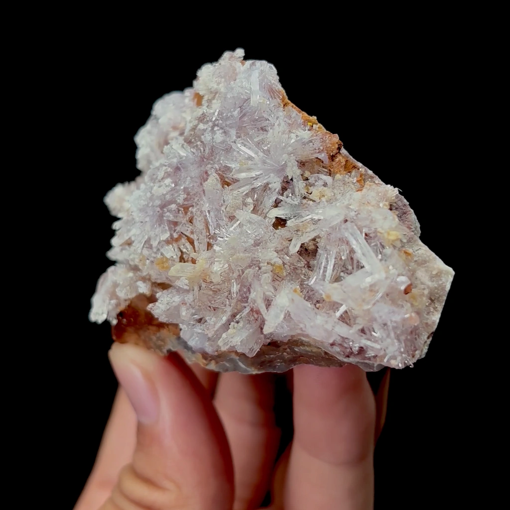 Creedite - image 6