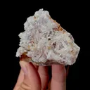 Creedite - image 6