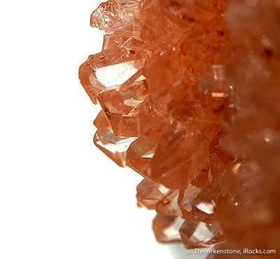 Creedite - image 2