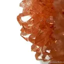 Creedite - image 2