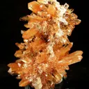 Creedite - image 1