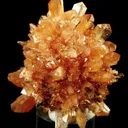Creedite - image 1