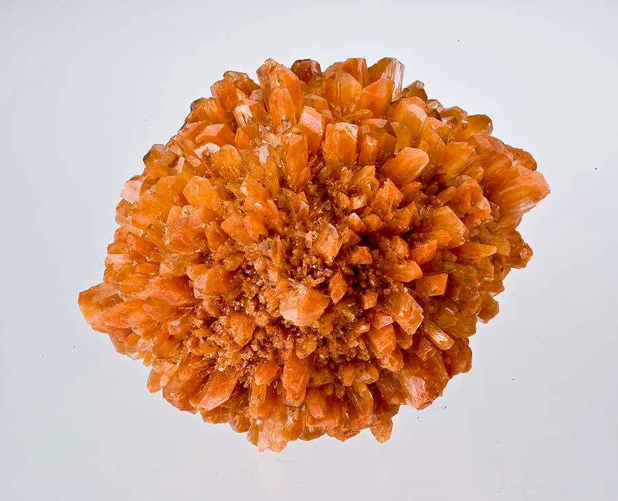 Creedite image