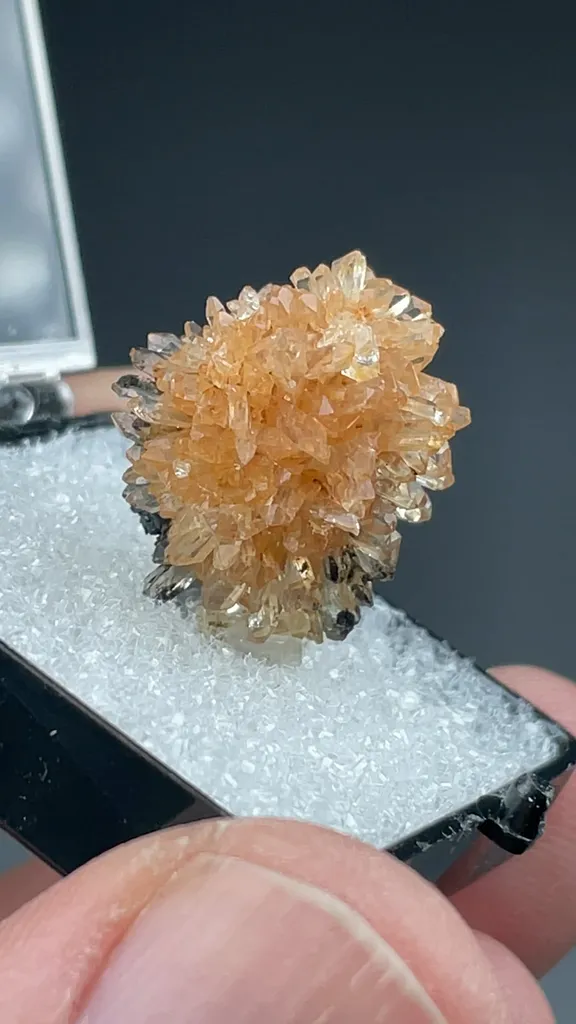 Creedite - image 2