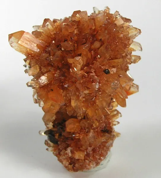 Creedite image