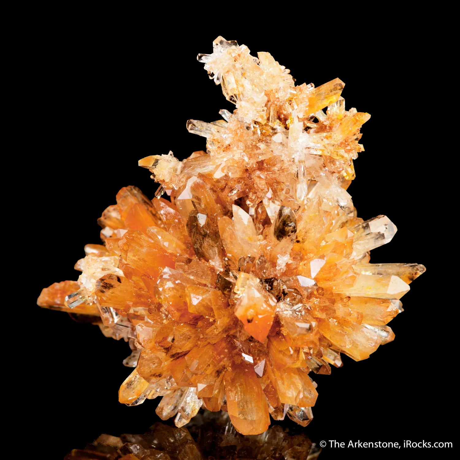 Creedite - image 1
