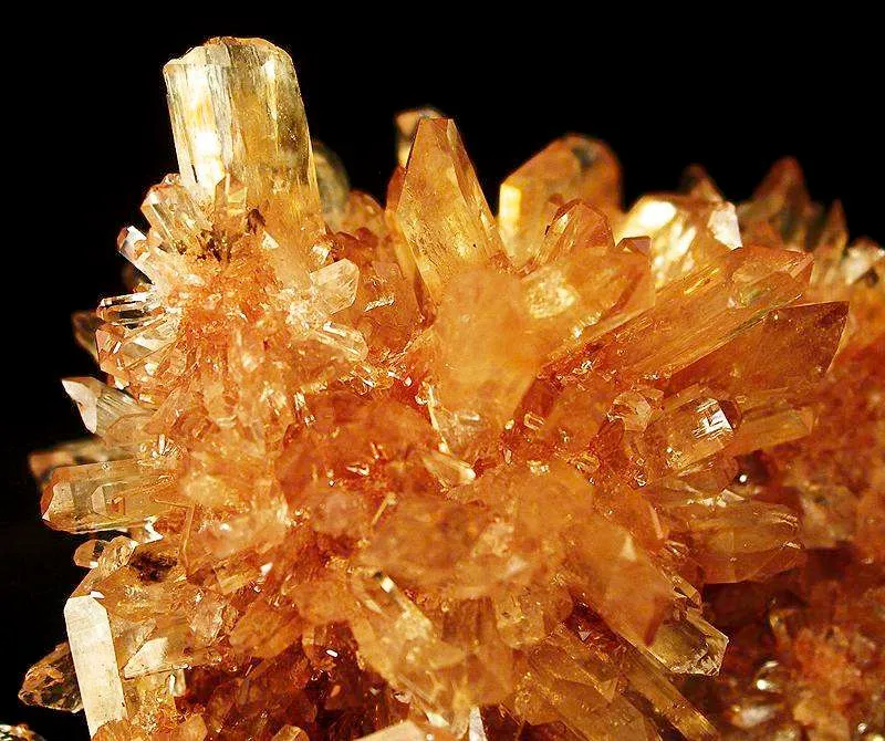Creedite - image 2