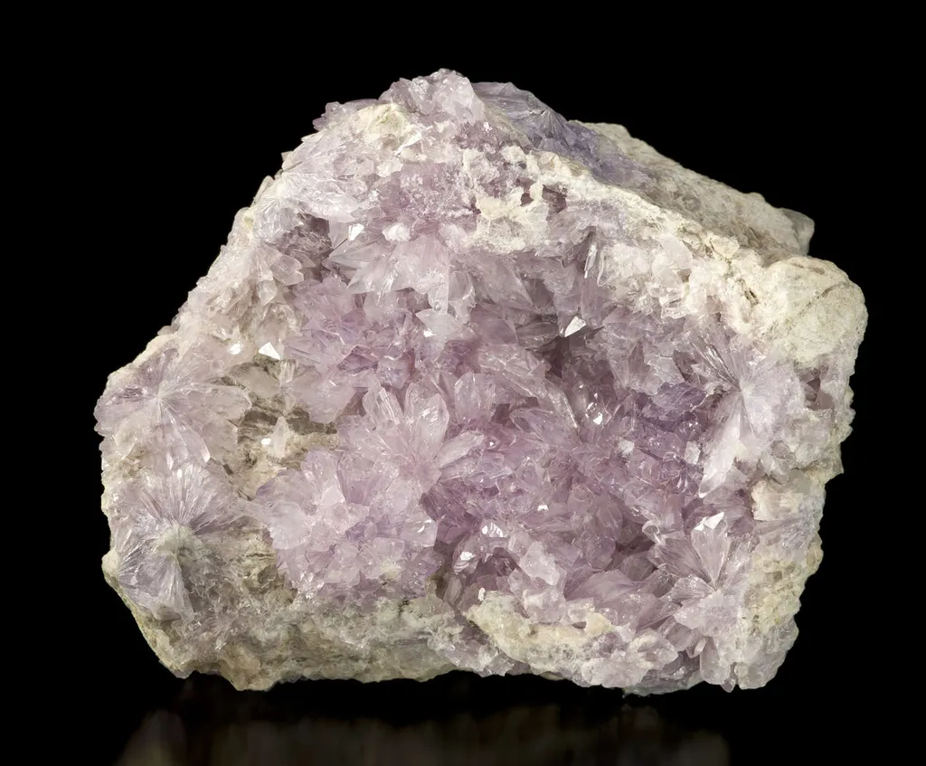 Creedite - image 3