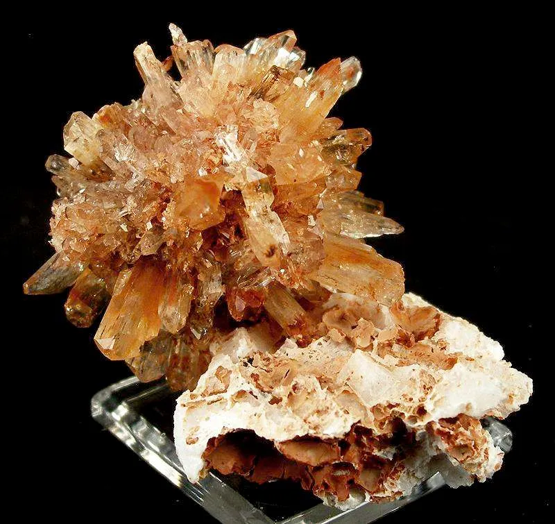 Creedite - image 2