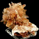 Creedite - image 2