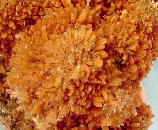 Creedite - image 2