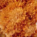 Creedite - image 2