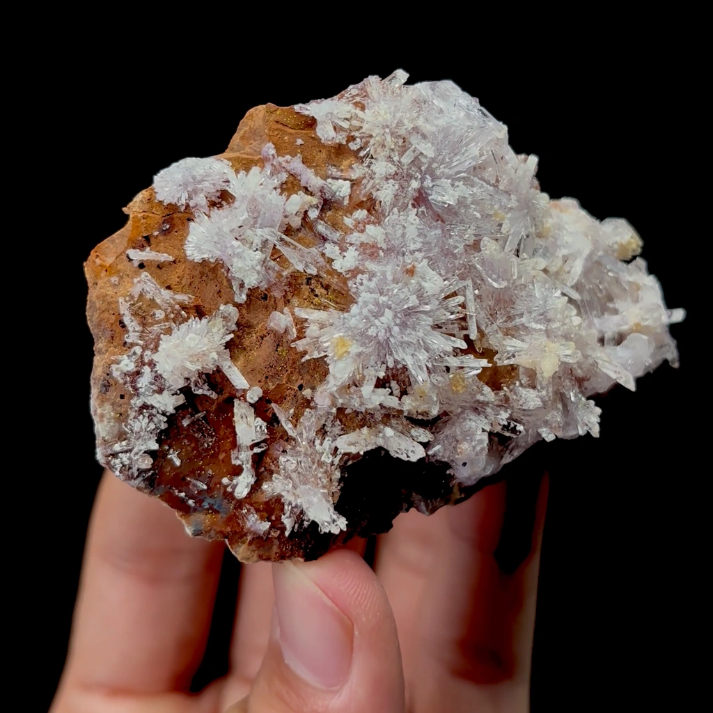 Creedite - image 3