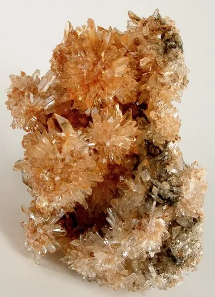 Creedite image