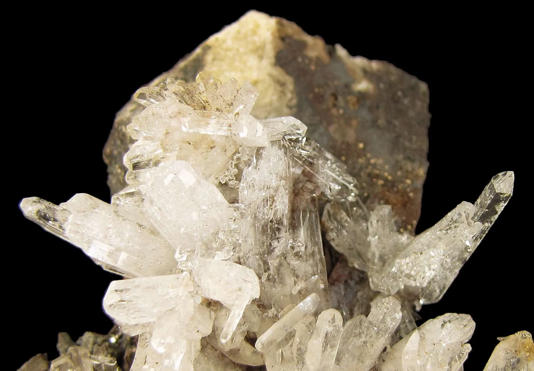 Creedite - image 3