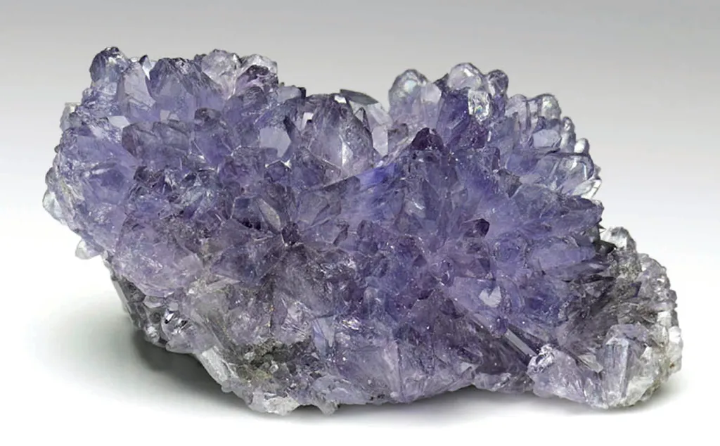 Creedite - image 1