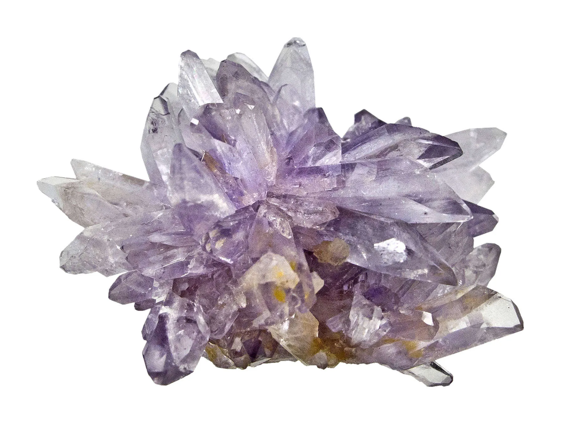 Creedite - image 5