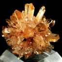 Creedite - image 1
