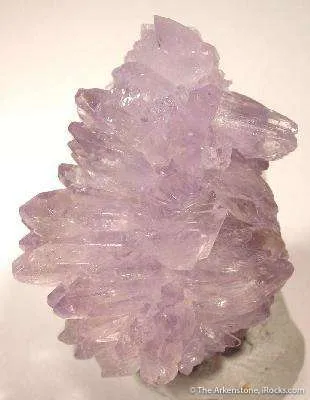 Creedite - image 3