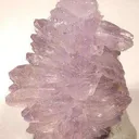 Creedite - image 3
