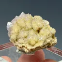 Creedite - image 3