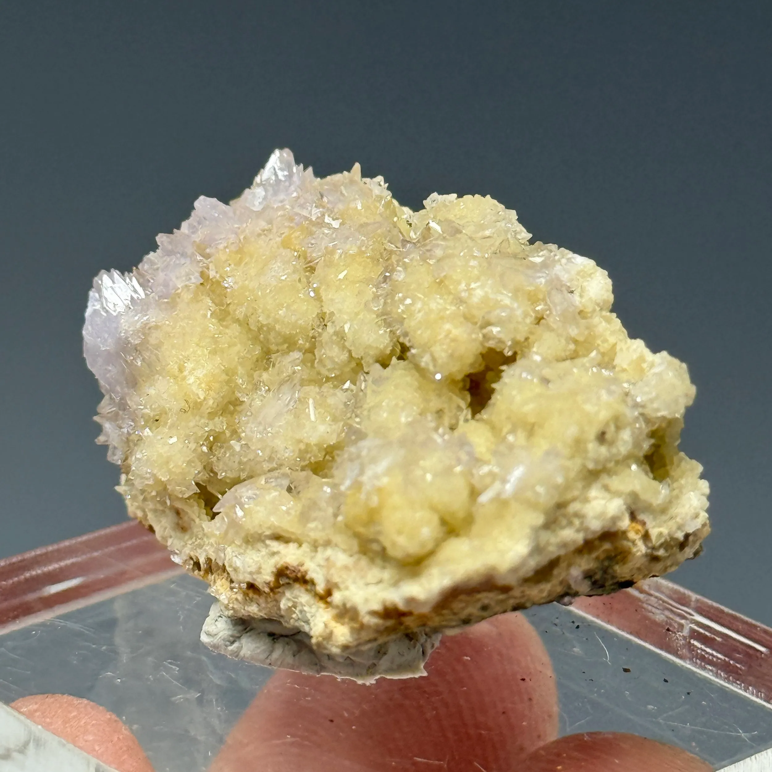 Creedite - image 3