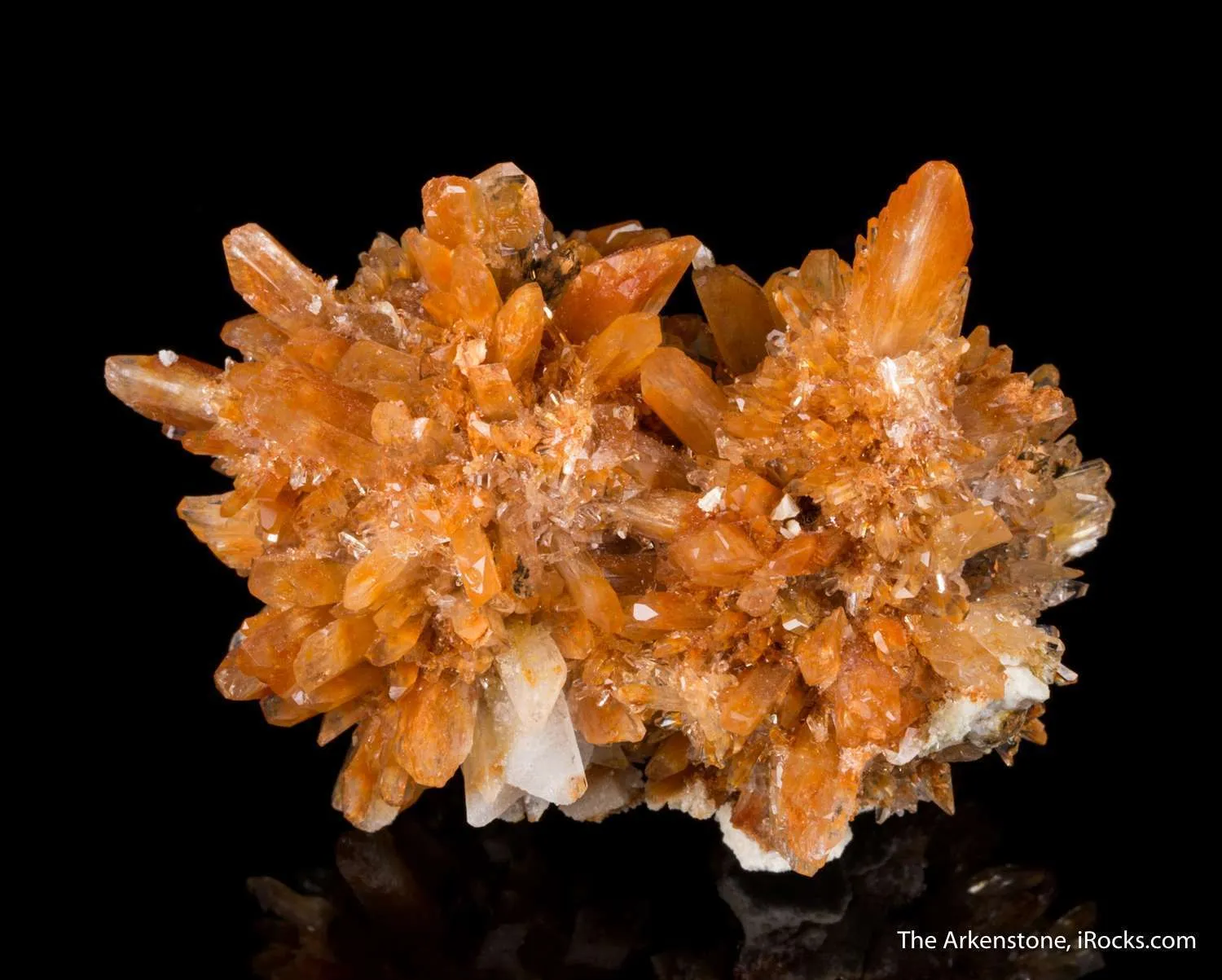 Creedite - image 4