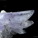 Creedite - image 3