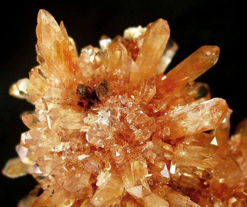 Creedite - image 3