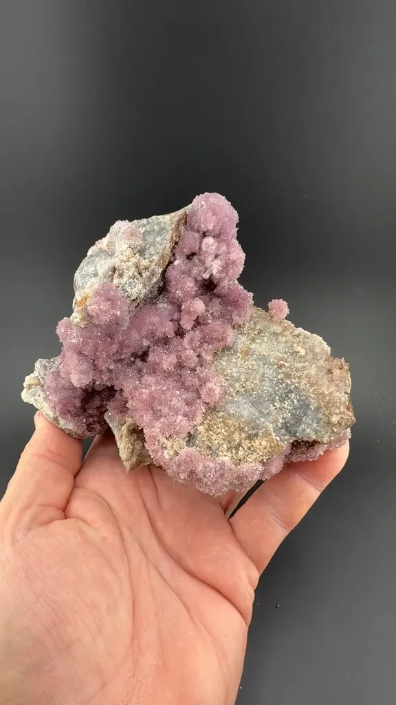 Creedite - image 2