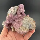 Creedite - image 2
