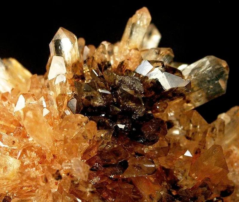 Creedite - image 3