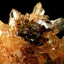 Creedite - image 3