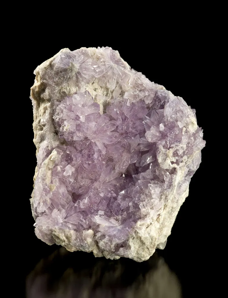 Creedite image