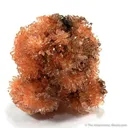 Creedite - image 1
