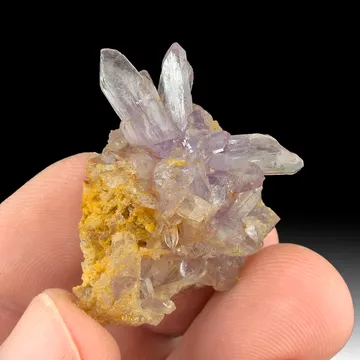 Creedite