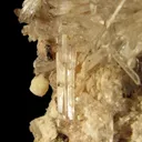 Creedite - image 3